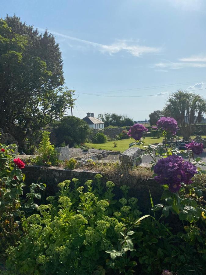 Clonmore Lodge B&B Quilty Eksteriør billede