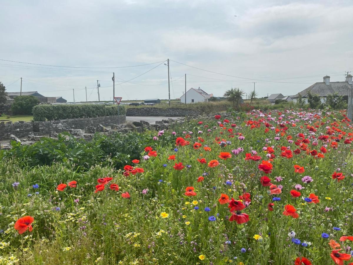 Clonmore Lodge B&B Quilty Eksteriør billede