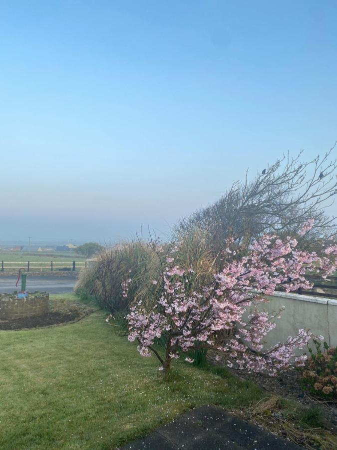 Clonmore Lodge B&B Quilty Eksteriør billede