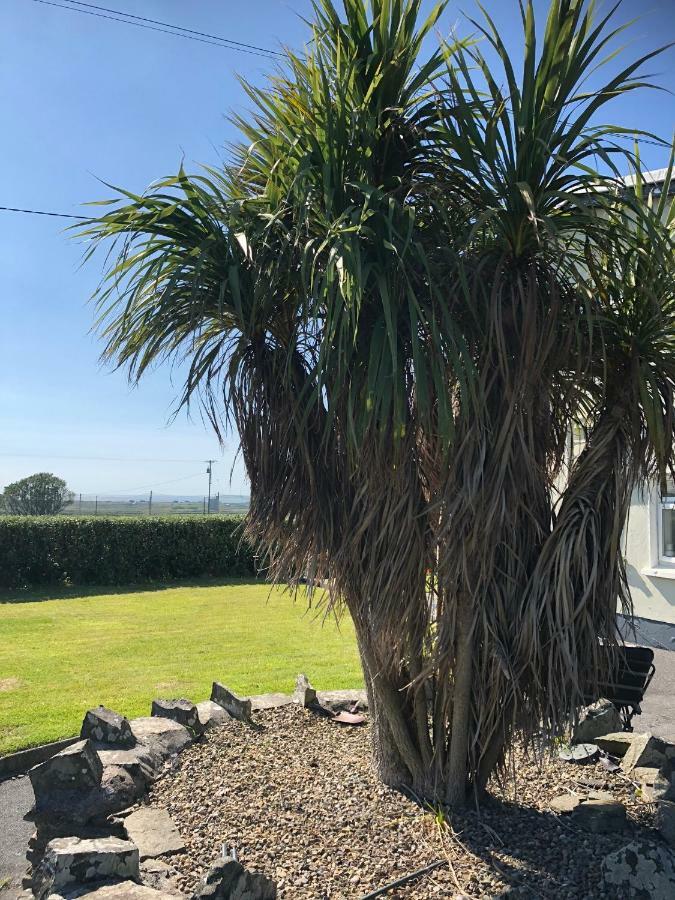 Clonmore Lodge B&B Quilty Eksteriør billede