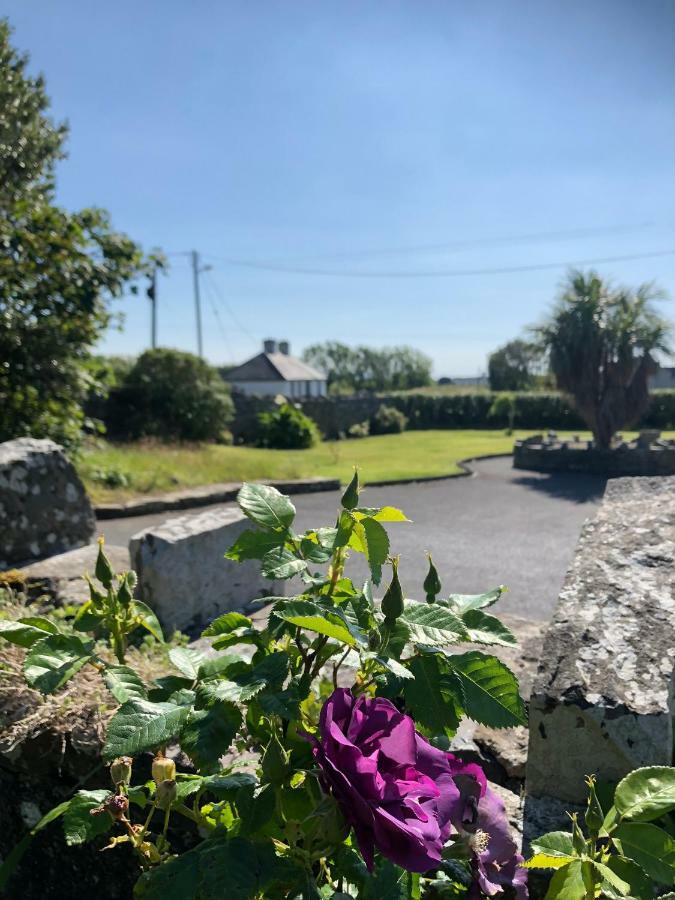 Clonmore Lodge B&B Quilty Eksteriør billede